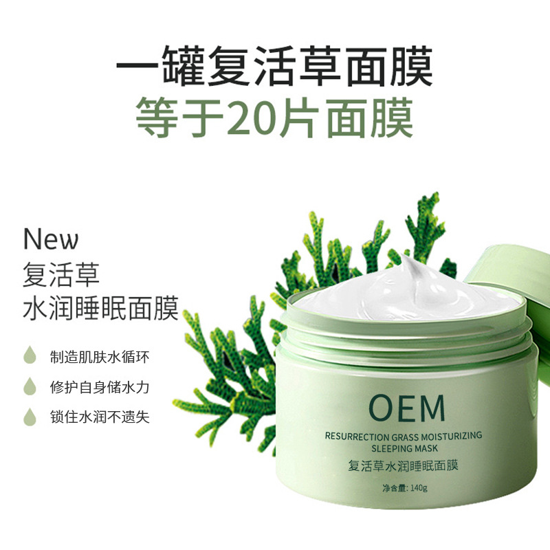 博科_复活草睡眠面膜OEM